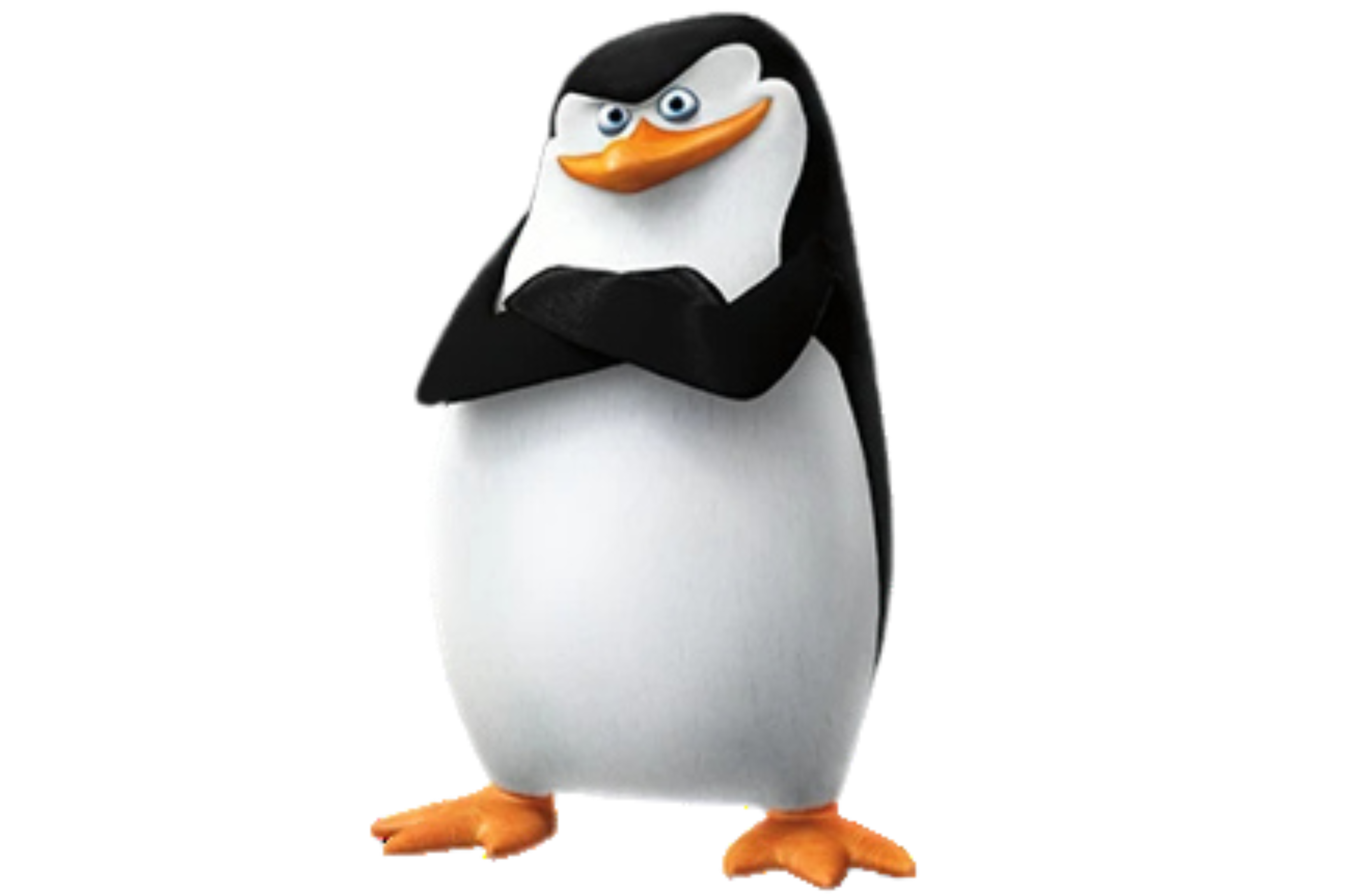 Maria Silva — Design & Conteúdo